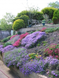 Garden Garden